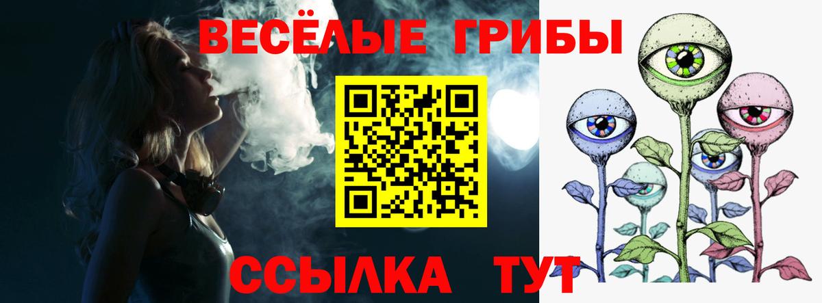 купить наркотики сайты  Псилоцибиновые грибы Magic Shrooms  Псилоцибиновые грибы Psilocybe  Вход с VPN  Родники 