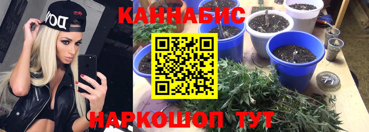 Бошки марихуана Ganja  Вход с VPN  Каннабис SATIVA & INDICA  Шишки марихуана планчик  Родники 